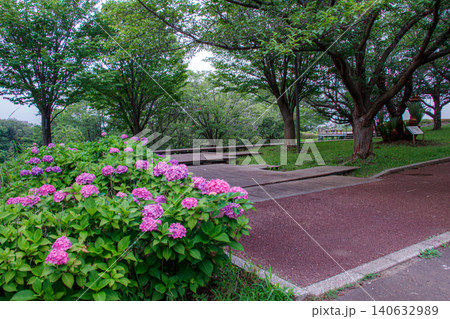 さくらやま公園の花壇と木陰の展望デッキ 140632989