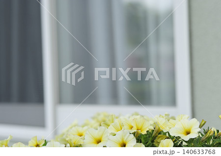ウッドデッキに置かれた花 ウッドデッキに置かれた花 140633768