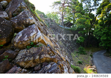 唐沢山神社堅牢な高石垣 栃木県佐野市 唐沢山神社堅牢な高石垣 栃木県佐野市 140634569