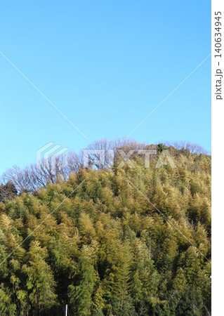 植林されて美しかった山には竹藪が広がり、荒廃が進む 140634945