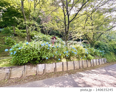 初夏のおもてなし ようこそ、いらっしゃいませ 初夏のおもてなし ようこそ、いらっしゃいませ 140635245
