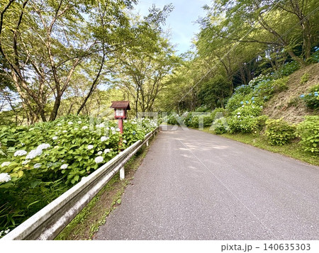 初夏の帰り道 色達が交わした約束 140635303