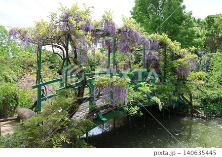 浜名湖ガーデンパーク　花の美術館（印象派庭園　花美の庭）2026年⑥ 140635445