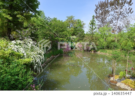浜名湖ガーデンパーク 花の美術館(印象派庭園 花美の庭)2026年⑧ 浜名湖ガーデンパーク 花の美術館(印象派庭園 花美の庭)2026年⑧ 140635447