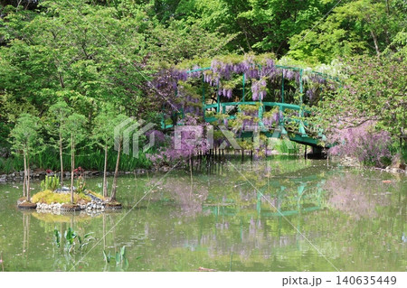 浜名湖ガーデンパーク 花の美術館(印象派庭園 花美の庭)2026年⑩ 浜名湖ガーデンパーク 花の美術館(印象派庭園 花美の庭)2026年⑩ 140635449