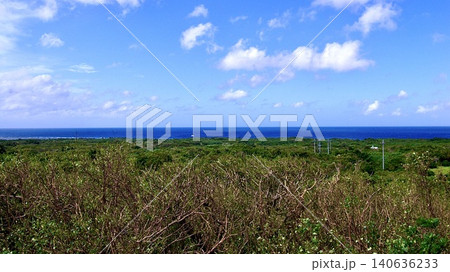 沖縄県八重山諸島鳩間島の鳩間中森から見渡す風景 140636233
