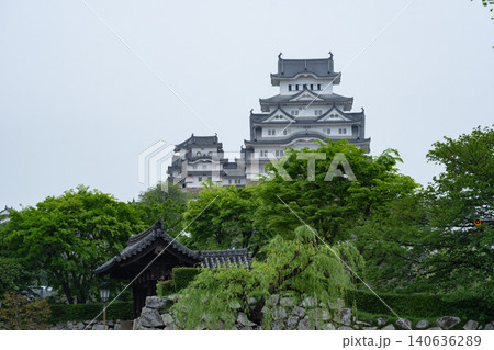 新緑の木々に囲まれた世界遺産の姫路城全景 新緑の木々に囲まれた世界遺産の姫路城全景 140636289