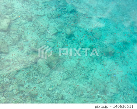 透き通る浅瀬を泳ぐ小魚の群れと海底の海中風景 透き通る浅瀬を泳ぐ小魚の群れと海底の海中風景 140636511