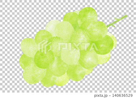 A watercolor illustration of fresh, juicy Shine Muscat grapes (without leaves). A watercolor illustration of fresh, juicy Shine Muscat grapes (without leaves). 140636529