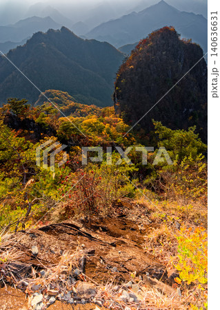 西上州・紅葉の鹿岳二ノ岳から見る一ノ岳と四ツ又山 西上州・紅葉の鹿岳二ノ岳から見る一ノ岳と四ツ又山 140636631