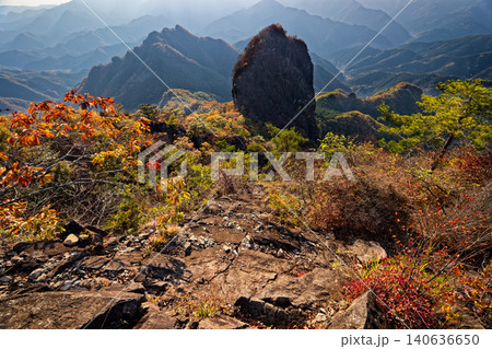 紅葉の西上州・鹿岳二ノ岳から見る一ノ岳と四ツ又山 140636650