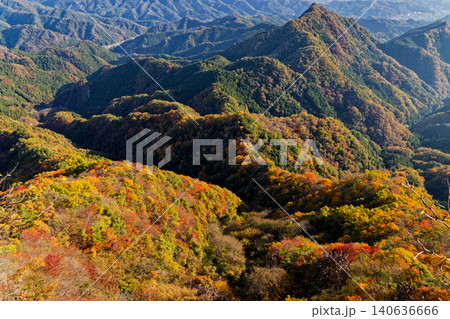 西上州・鹿岳二ノ岳から見る紅葉の山並み 西上州・鹿岳二ノ岳から見る紅葉の山並み 140636666