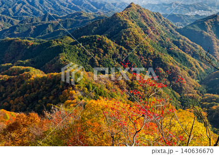 西上州・鹿岳二ノ岳から見る紅葉の山並み 140636670