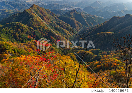 西上州・鹿岳二ノ岳から見る紅葉の山並み 140636671