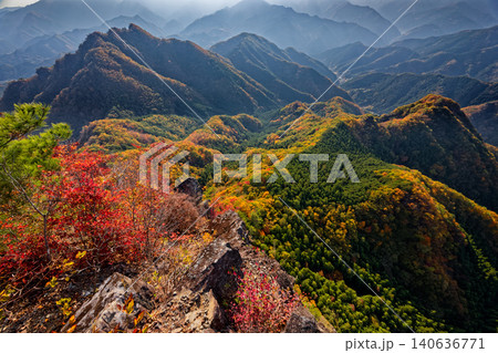 紅葉の西上州・鹿岳一ノ岳から見る四ツ又山 紅葉の西上州・鹿岳一ノ岳から見る四ツ又山 140636771