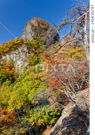 西上州・四ツ又山への稜線から見る鹿岳一ノ岳の岩峰 西上州・四ツ又山への稜線から見る鹿岳一ノ岳の岩峰 140636797