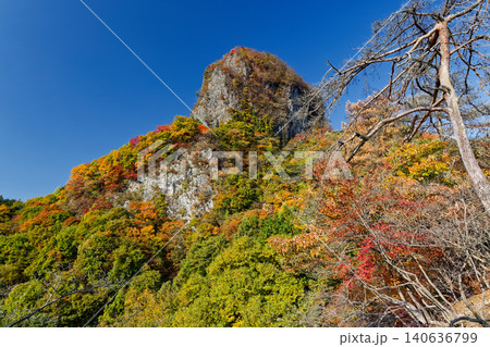 西上州・四ツ又山への稜線から見る鹿岳一ノ岳の岩峰 西上州・四ツ又山への稜線から見る鹿岳一ノ岳の岩峰 140636799