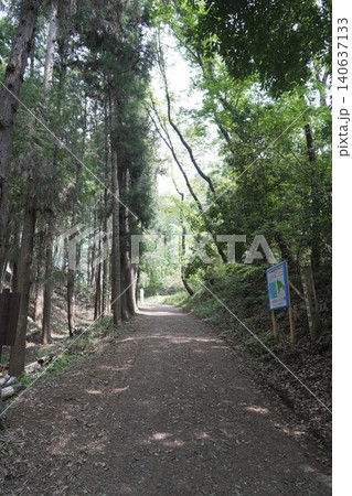 都立滝山公園 滝山城跡 滝山城 都立滝山公園 滝山城跡 滝山城 140637133