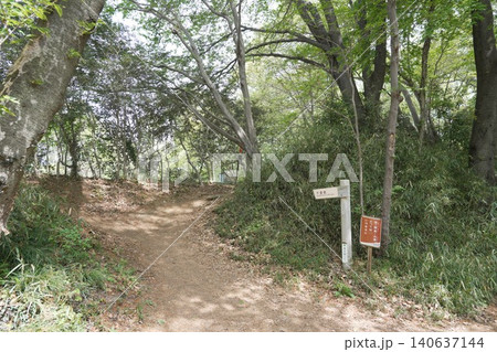 都立滝山公園 滝山城跡 滝山城 都立滝山公園 滝山城跡 滝山城 140637144