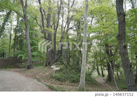 都立滝山公園 滝山城跡 滝山城 都立滝山公園 滝山城跡 滝山城 140637152