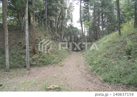 都立滝山公園 滝山城跡 滝山城 都立滝山公園 滝山城跡 滝山城 140637159