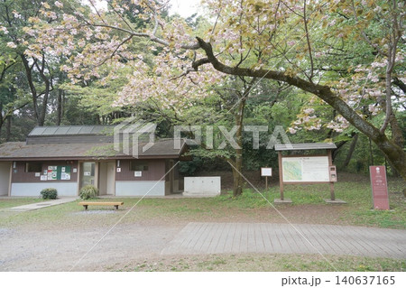 都立滝山公園 滝山城跡 滝山城 都立滝山公園 滝山城跡 滝山城 140637165