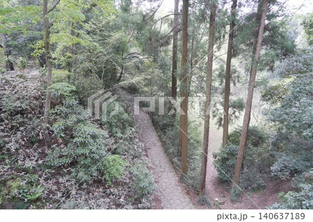 都立滝山公園 滝山城跡 滝山城 都立滝山公園 滝山城跡 滝山城 140637189