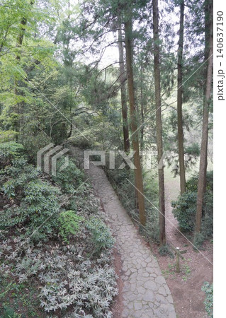 都立滝山公園 滝山城跡 滝山城 都立滝山公園 滝山城跡 滝山城 140637190