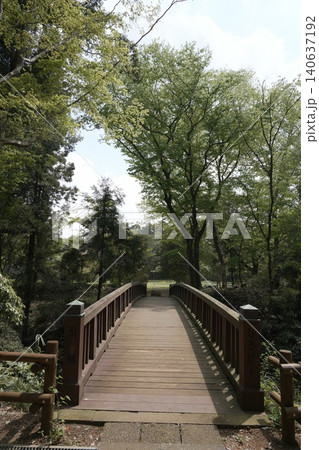 都立滝山公園 滝山城跡 滝山城 都立滝山公園 滝山城跡 滝山城 140637192