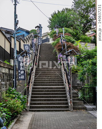 白山神社裏参道の石段正面風景 白山神社裏参道の石段正面風景 140637231