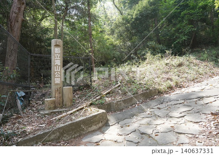 都立滝山公園 滝山城跡 滝山城 都立滝山公園 滝山城跡 滝山城 140637331