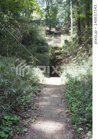 都立滝山公園 滝山城跡 滝山城 都立滝山公園 滝山城跡 滝山城 140637343