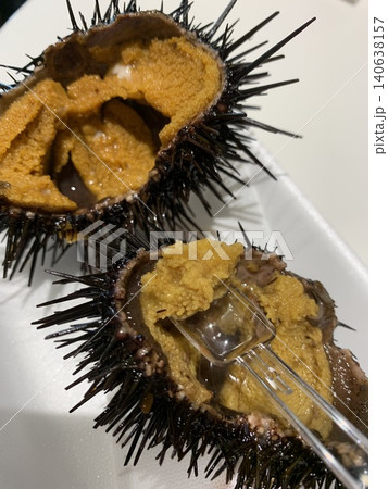 殻付き生ウニを割った新鮮な海の幸|高級食材・海鮮料理 殻付き生ウニを割った新鮮な海の幸|高級食材・海鮮料理 140638157