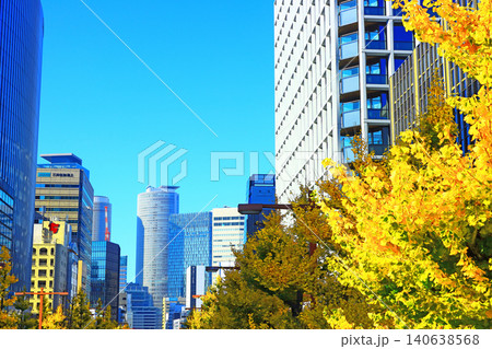 愛知県名古屋市、桜通銀杏並木と名古屋駅前超高層ビル郡の風景 愛知県名古屋市、桜通銀杏並木と名古屋駅前超高層ビル郡の風景 140638568
