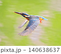 カワセミの美しい飛び姿 140638637