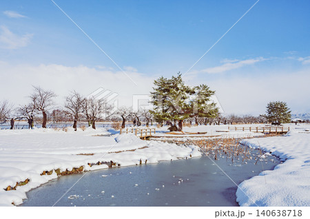 新潟　冬の瓢湖水きん公園 140638718