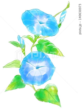咲き誇る水色のアサガオの花の手描きの水彩イラスト 咲き誇る水色のアサガオの花の手描きの水彩イラスト 140638973