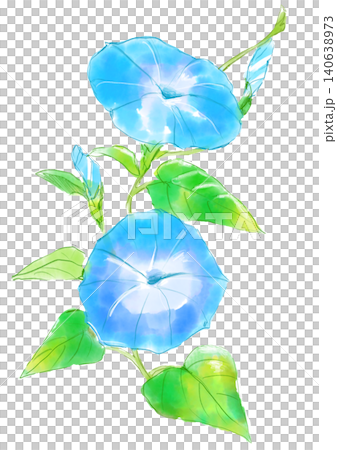 咲き誇る水色のアサガオの花の手描きの水彩イラスト 咲き誇る水色のアサガオの花の手描きの水彩イラスト 140638973
