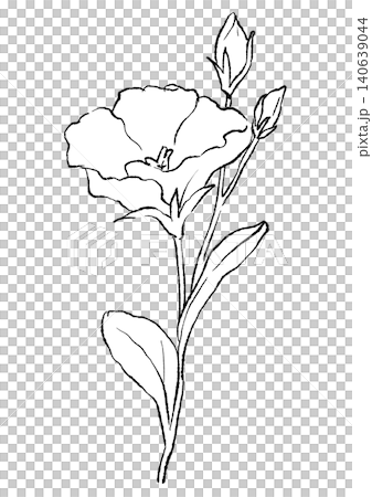 A hand-drawn line art illustration of blooming lisianthus flowers. A hand-drawn line art illustration of blooming lisianthus flowers. 140639044