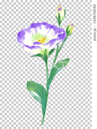 A hand-painted watercolor illustration of blooming lisianthus flowers. A hand-painted watercolor illustration of blooming lisianthus flowers. 140639046