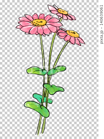 手繪線條畫和水彩插圖,描繪了盛開的粉紅色杜鵑花。 手繪線條畫和水彩插圖,描繪了盛開的粉紅色杜鵑花。 140639061