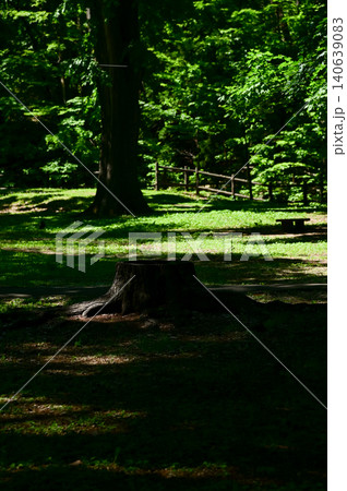 The scene of Maruyama Park in Sapporo, Hokkaido, Japan. The scenery of Maruyama Park in summer, which near Hokkaido Shrine. A public park in Japan. Nature and Travel scene. The scene of Maruyama Park in Sapporo, Hokkaido, Japan. The scenery of Maruyama Park in summer, which near Hokkaido Shrine. A public park in Japan. Nature and Travel scene. 140639083