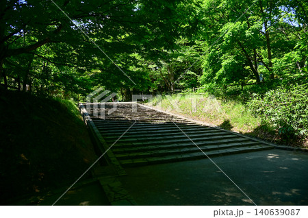 The scene of Maruyama Park in Sapporo, Hokkaido, Japan. The scenery of Maruyama Park in summer, which near Hokkaido Shrine. A public park in Japan. Nature and Travel scene. The scene of Maruyama Park in Sapporo, Hokkaido, Japan. The scenery of Maruyama Park in summer, which near Hokkaido Shrine. A public park in Japan. Nature and Travel scene. 140639087