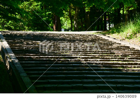 The scene of Maruyama Park in Sapporo, Hokkaido, Japan. The scenery of Maruyama Park in summer, which near Hokkaido Shrine. A public park in Japan. Nature and Travel scene. The scene of Maruyama Park in Sapporo, Hokkaido, Japan. The scenery of Maruyama Park in summer, which near Hokkaido Shrine. A public park in Japan. Nature and Travel scene. 140639089
