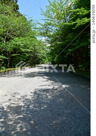 The scene of Maruyama Park in Sapporo, Hokkaido, Japan. The scenery of Maruyama Park in summer, which near Hokkaido Shrine. A public park in Japan. Nature and Travel scene. 140639098