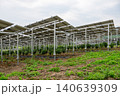 太陽光パネルの下を活用する農業 140639309