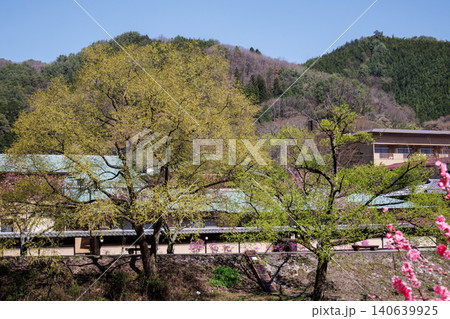 長野県阿智村の昼神温泉地区の美しい花桃の情景 長野県阿智村の昼神温泉地区の美しい花桃の情景 140639925