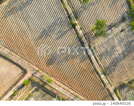 Aerial drone view of a farmer's cassava field in Isan Thailand during dry season. Soil preparation patterns. Global food security and sustainable AgTech investment. Climate resilient cassava growth. Aerial drone view of a farmer's cassava field in Isan Thailand during dry season. Soil preparation patterns. Global food security and sustainable AgTech investment. Climate resilient cassava growth. 140640526