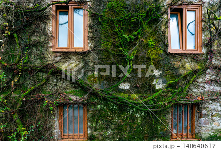 Old building covered with green vine and moss. Green creeping plant climbing on wall of house. Eco-friendly building. Facade of building decor with ivy. Sustainable building. Close to nature. 140640617