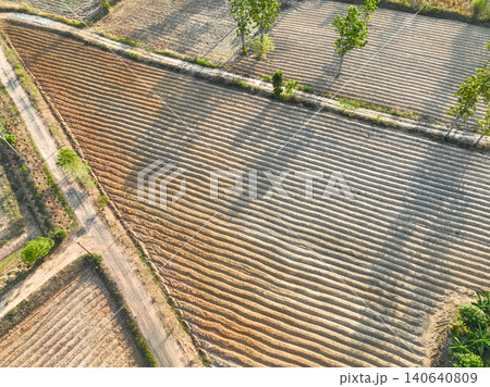 Aerial view of cassava field with linear soil rows in rural Thailand during dry season. Climate resilience and sustainable agriculture for food security, biofuel production, and future crop adaptation Aerial view of cassava field with linear soil rows in rural Thailand during dry season. Climate resilience and sustainable agriculture for food security, biofuel production, and future crop adaptation 140640809